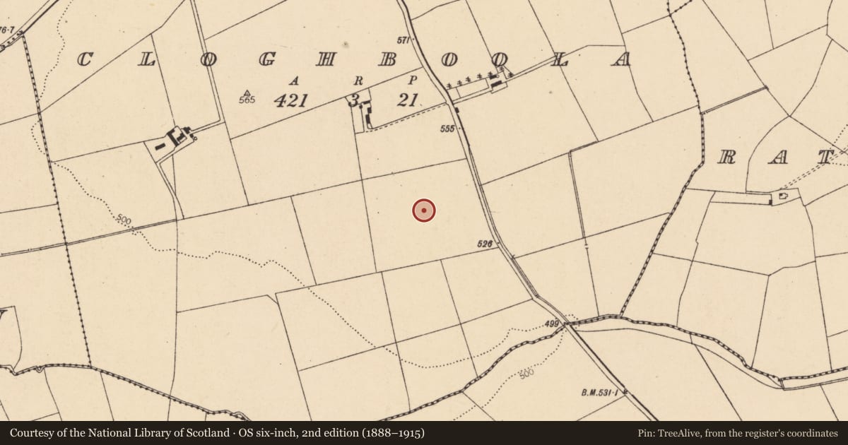 Ordnance Survey six-inch map, 2nd edition (1888–1915) covering the location of Enclosure, Cloghboola, County Cork, with a pin at the register's coordinates