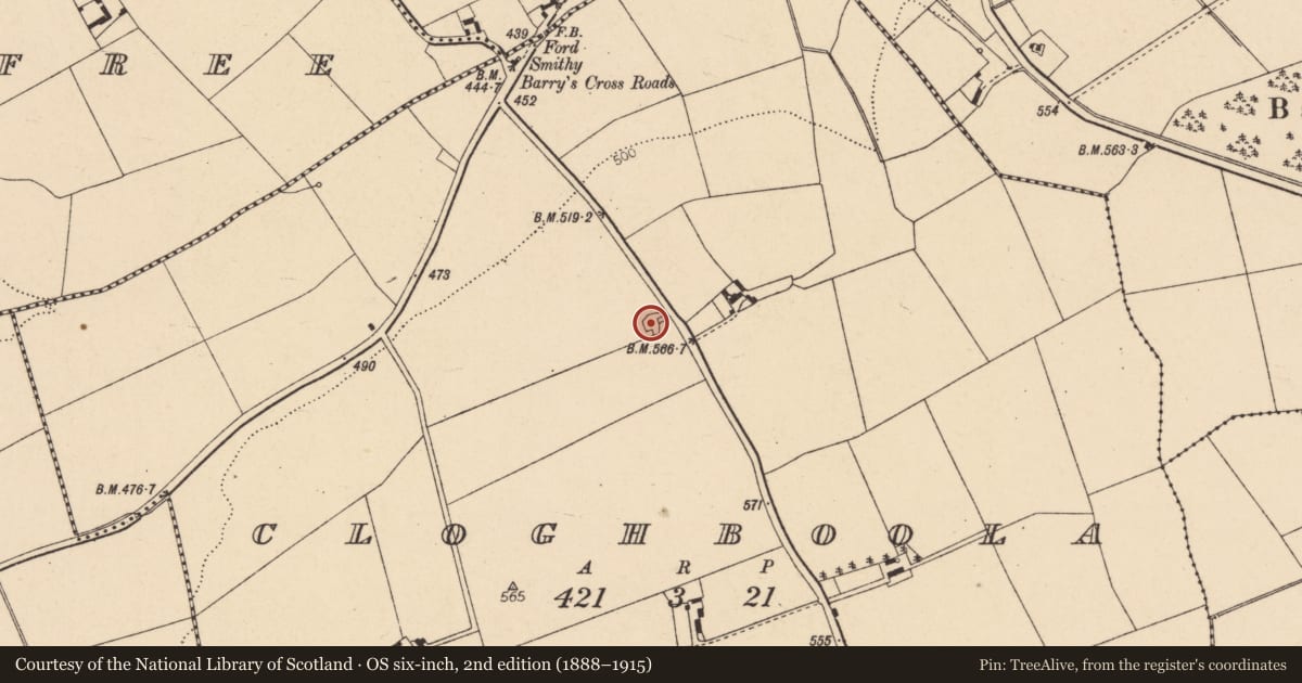 Ordnance Survey six-inch map, 2nd edition (1888–1915) covering the location of Ringfort - rath, Cloghboola, County Cork, with a pin at the register's coordinates