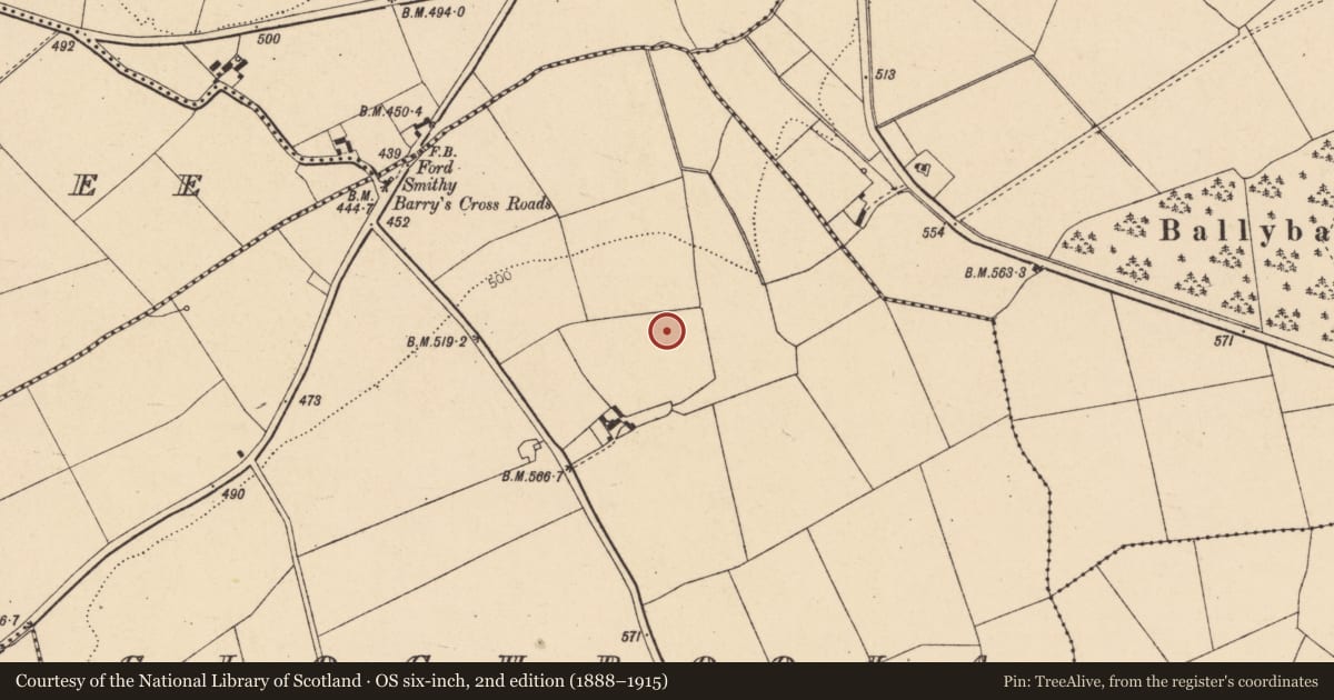 Ordnance Survey six-inch map, 2nd edition (1888–1915) covering the location of Fulacht fia, Cloghboola, County Cork, with a pin at the register's coordinates