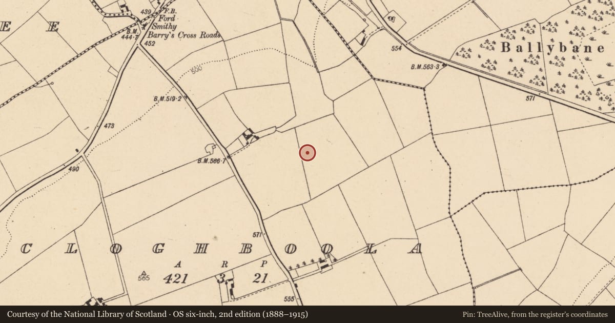 Ordnance Survey six-inch map, 2nd edition (1888–1915) covering the location of Fulacht fia, Cloghboola, County Cork, with a pin at the register's coordinates