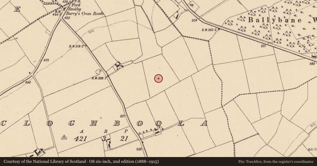 Ordnance Survey six-inch map, 2nd edition (1888–1915) covering the location of Fulacht fia, Cloghboola, County Cork, with a pin at the register's coordinates
