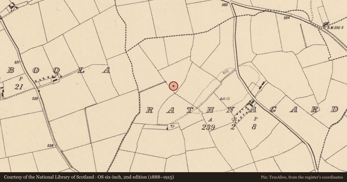 Ordnance Survey six-inch map, 2nd edition (1888–1915) covering the location of Fulacht fia, Rathnagard, County Cork, with a pin at the register's coordinates