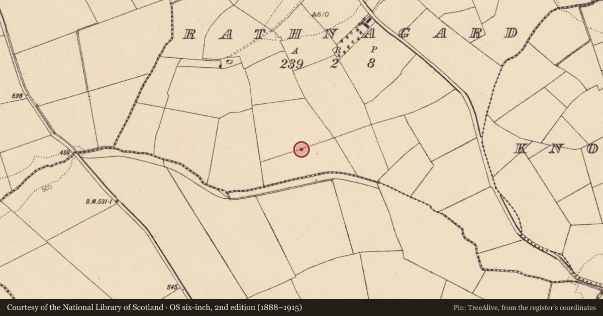 Ordnance Survey six-inch map, 2nd edition (1888–1915) covering the location of Fulacht fia, Rathnagard, County Cork, with a pin at the register's coordinates