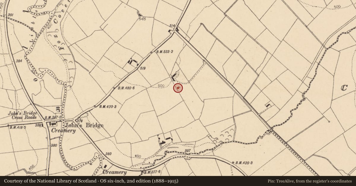Ordnance Survey six-inch map, 2nd edition (1888–1915) covering the location of Kiln - lime, Ballybahallagh, County Cork, with a pin at the register's coordinates