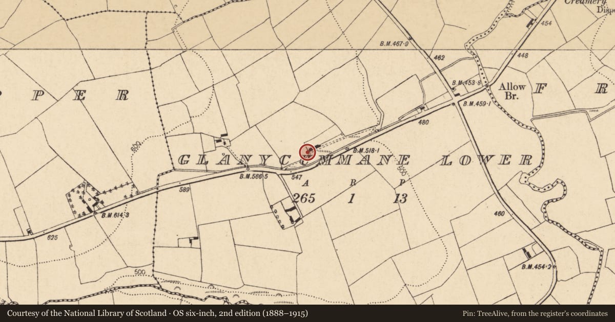 Ordnance Survey six-inch map, 2nd edition (1888–1915) covering the location of House - vernacular house, Glanycummane Lower, County Cork, with a pin at the register's coordinates