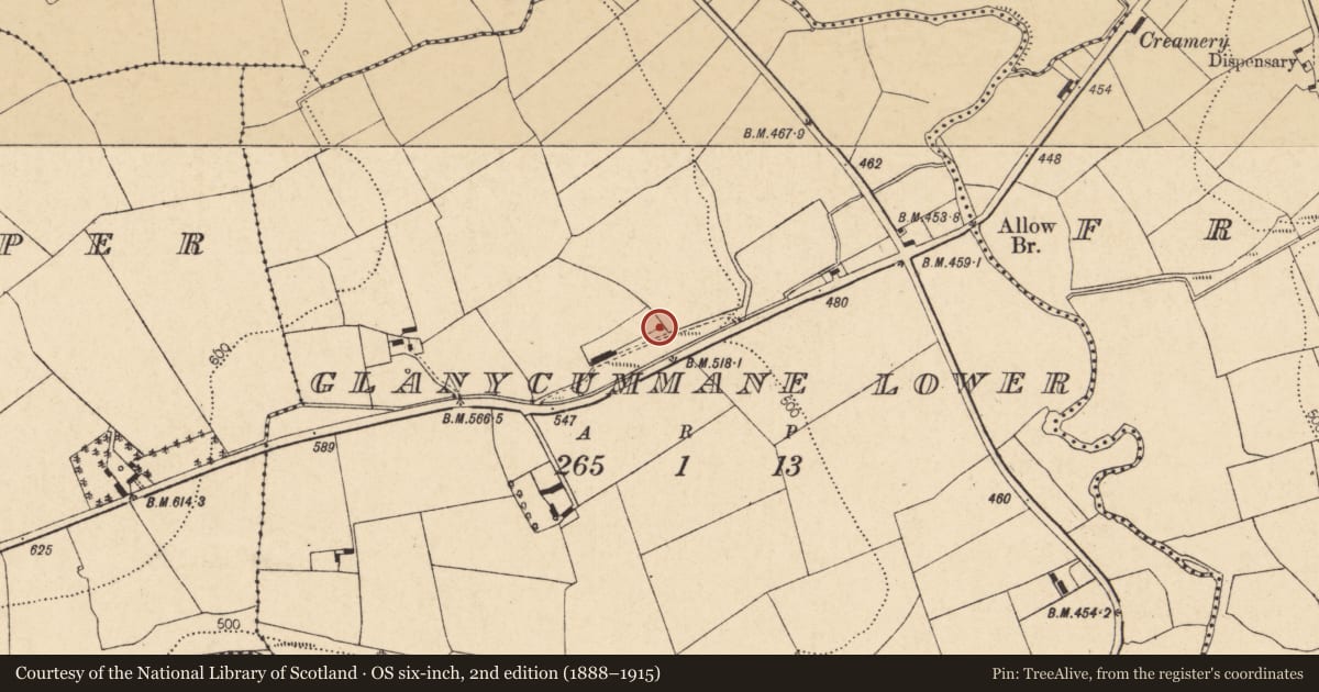Ordnance Survey six-inch map, 2nd edition (1888–1915) covering the location of Kiln - lime, Glanycummane Lower, County Cork, with a pin at the register's coordinates