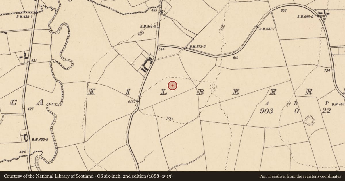Ordnance Survey six-inch map, 2nd edition (1888–1915) covering the location of Fulacht fia, Kilberrihert, County Cork, with a pin at the register's coordinates