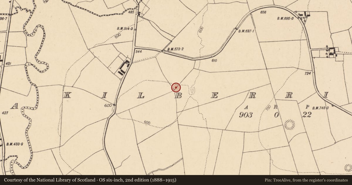 Ordnance Survey six-inch map, 2nd edition (1888–1915) covering the location of Fulacht fia, Kilberrihert, County Cork, with a pin at the register's coordinates