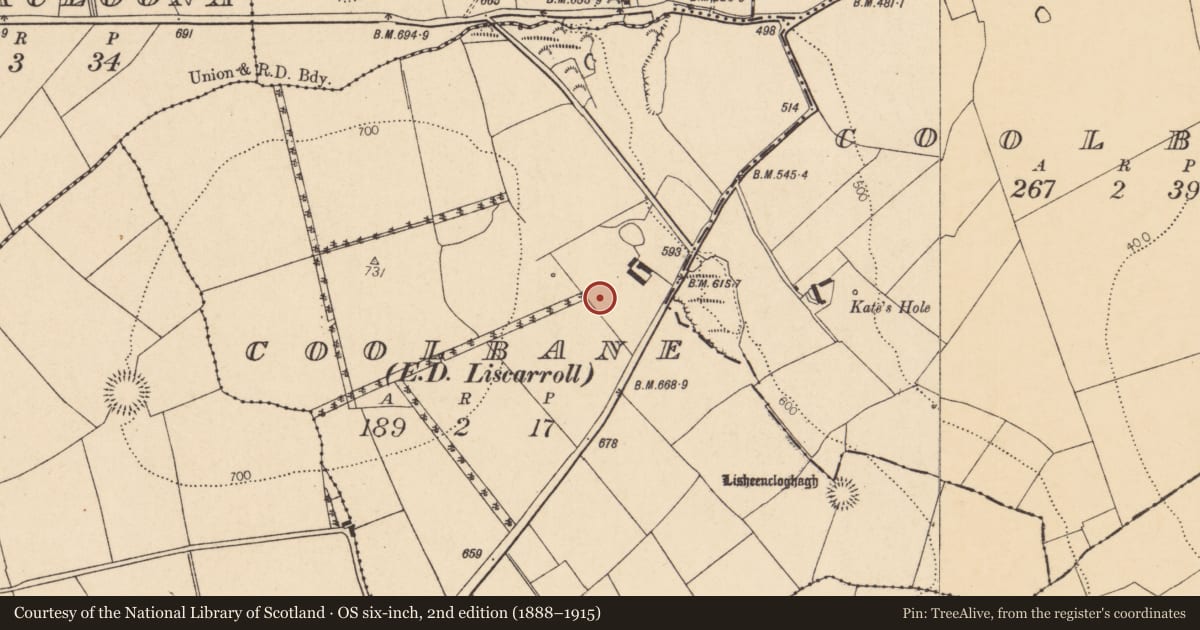 Ordnance Survey six-inch map, 2nd edition (1888–1915) covering the location of Fulacht fia, Coolbane (Duhallow By., Knocktemple Par.), County Cork, with a pin at the register's coordinates