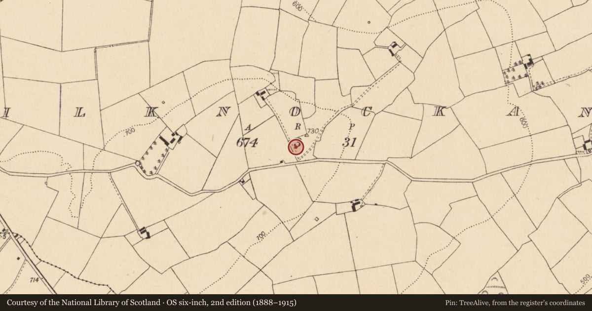 Ordnance Survey six-inch map, 2nd edition (1888–1915) covering the location of Burial ground, Kilknockane, County Cork, with a pin at the register's coordinates