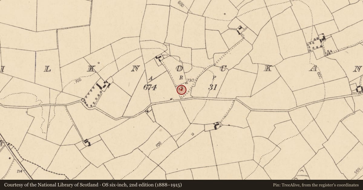 Ordnance Survey six-inch map, 2nd edition (1888–1915) covering the location of Church, Kilknockane, County Cork, with a pin at the register's coordinates