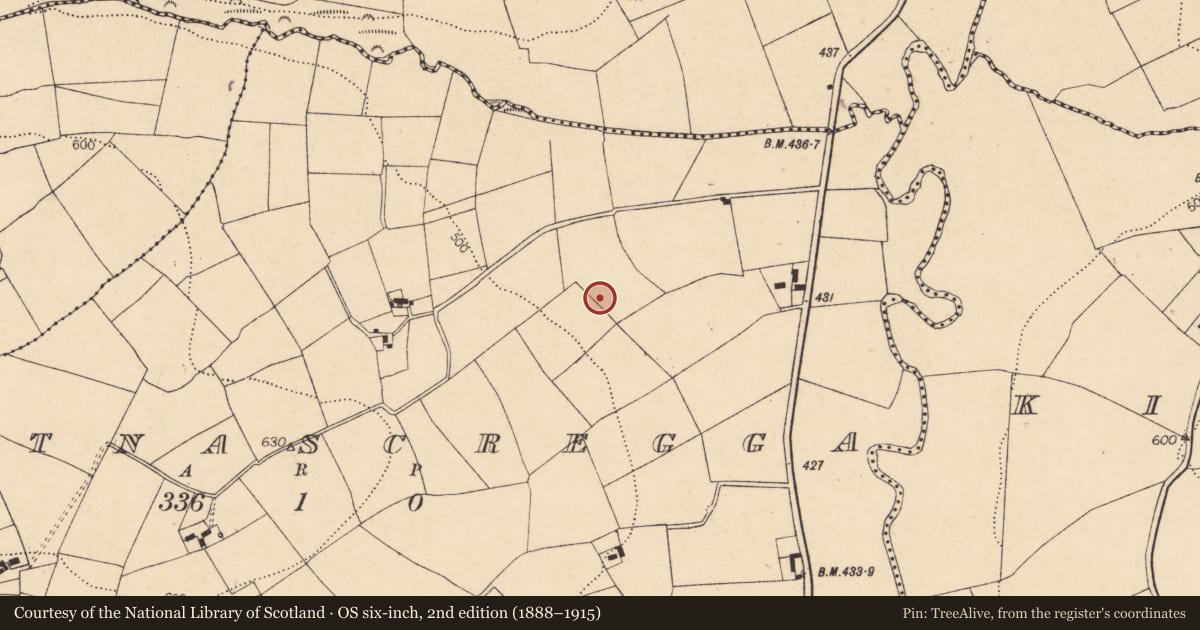 Ordnance Survey six-inch map, 2nd edition (1888–1915) covering the location of Fulacht fia, Gortnascregga, County Cork, with a pin at the register's coordinates