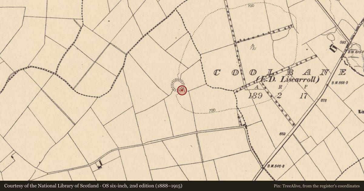 Ordnance Survey six-inch map, 2nd edition (1888–1915) covering the location of Souterrain, Knockagolig, County Cork, with a pin at the register's coordinates
