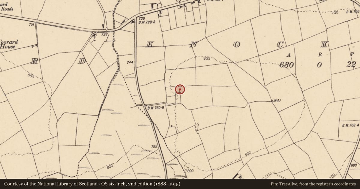 Ordnance Survey six-inch map, 2nd edition (1888–1915) covering the location of Souterrain, Knockilly, County Cork, with a pin at the register's coordinates