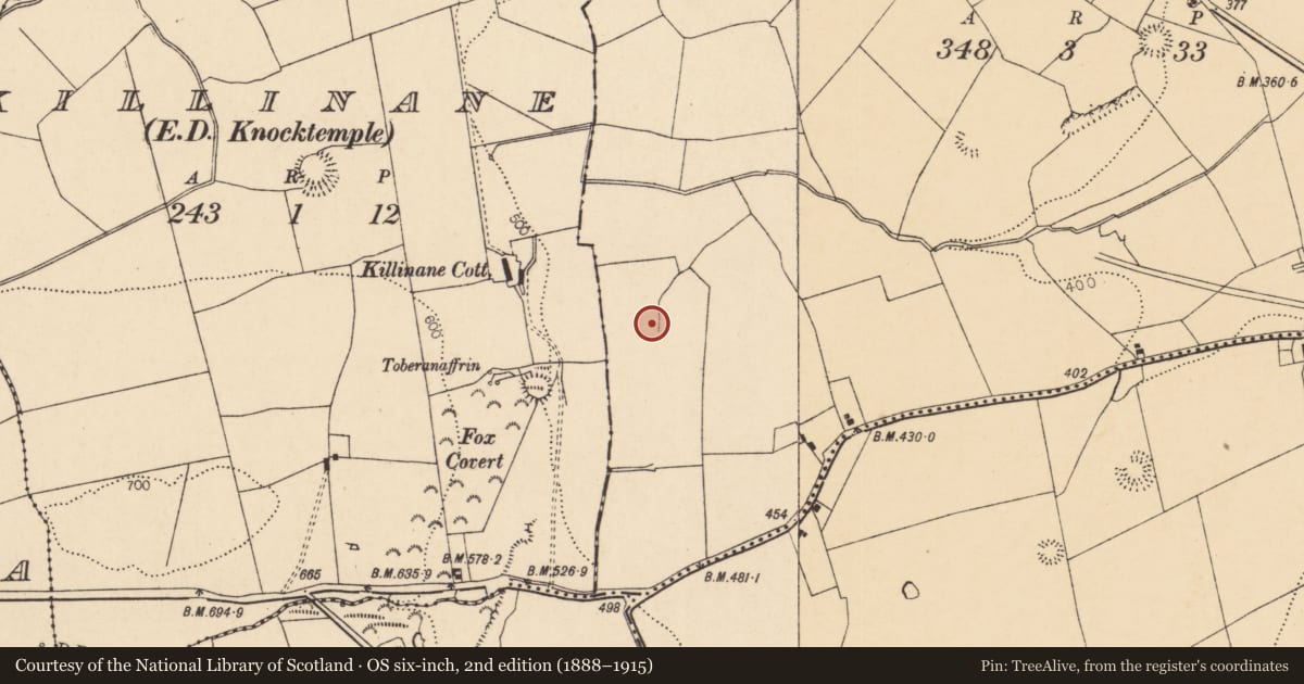 Ordnance Survey six-inch map, 2nd edition (1888–1915) covering the location of Fulacht fia, Rockspring, County Cork, with a pin at the register's coordinates