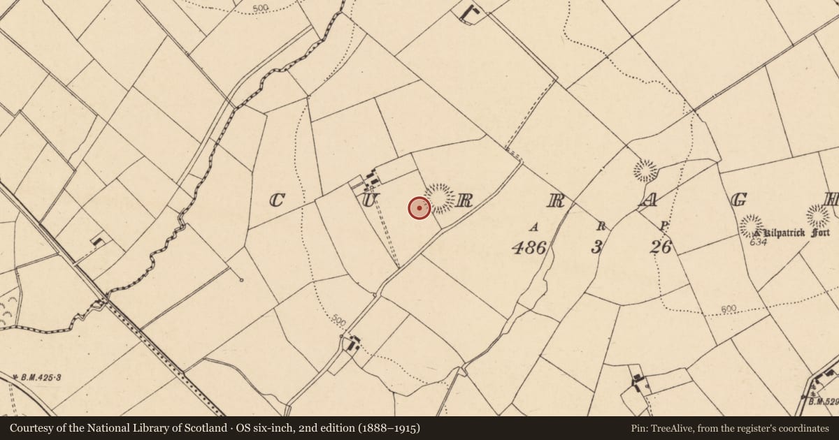 Ordnance Survey six-inch map, 2nd edition (1888–1915) covering the location of Souterrain, Curraghs, County Cork, with a pin at the register's coordinates