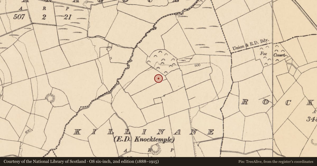 Ordnance Survey six-inch map, 2nd edition (1888–1915) covering the location of Fulacht fia, Killinane (Duhallow By., Knocktemple Par.), County Cork, with a pin at the register's coordinates