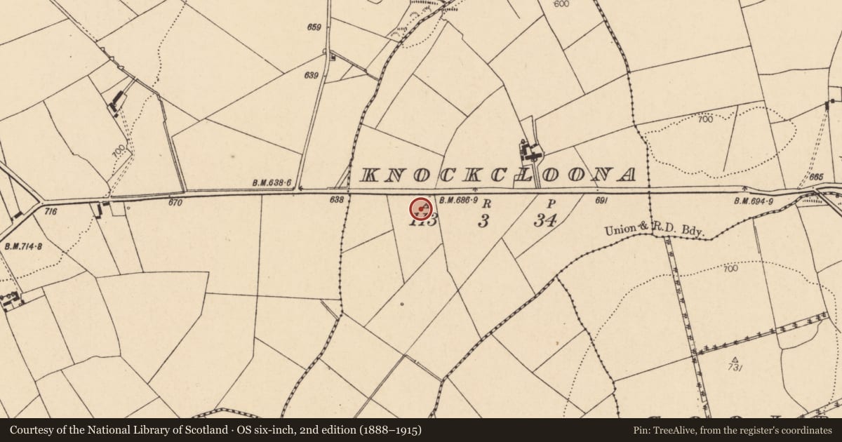 Ordnance Survey six-inch map, 2nd edition (1888–1915) covering the location of Fulacht fia, Knockcloona, County Cork, with a pin at the register's coordinates