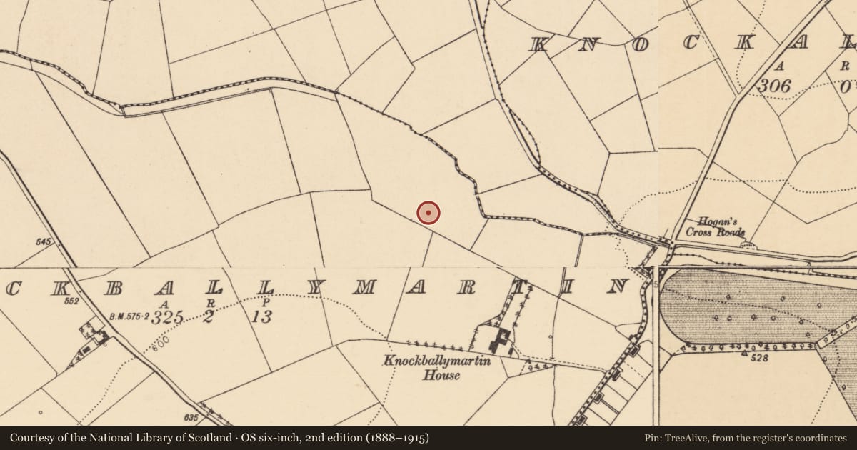 Ordnance Survey six-inch map, 2nd edition (1888–1915) covering the location of Fulacht fia, Knockballymartin, County Cork, with a pin at the register's coordinates