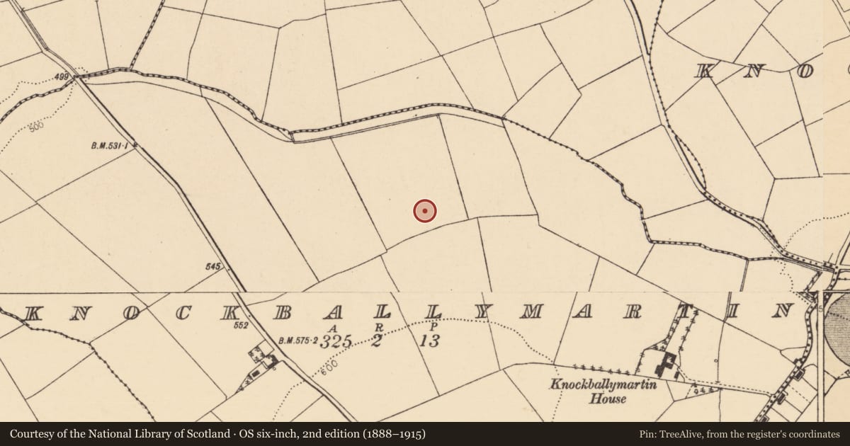 Ordnance Survey six-inch map, 2nd edition (1888–1915) covering the location of Fulacht fia, Knockballymartin, County Cork, with a pin at the register's coordinates