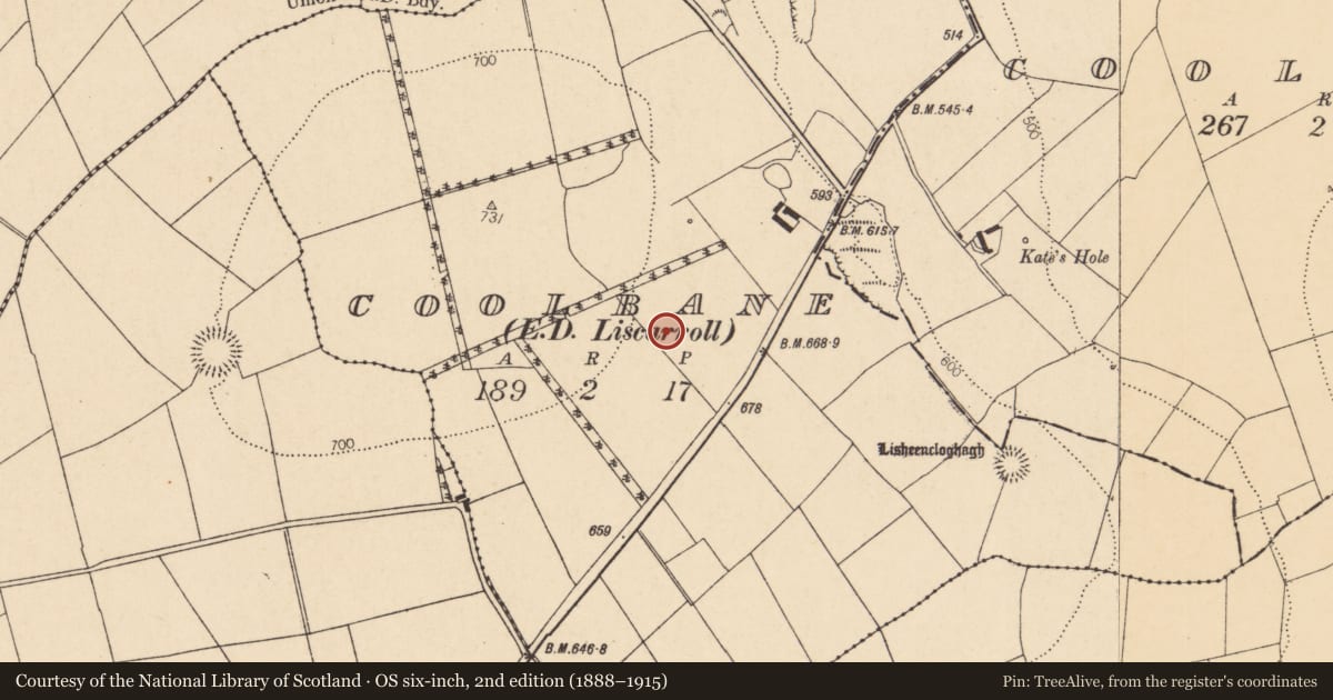 Ordnance Survey six-inch map, 2nd edition (1888–1915) covering the location of Fulacht fia, Coolbane (Duhallow By., Knocktemple Par.), County Cork, with a pin at the register's coordinates