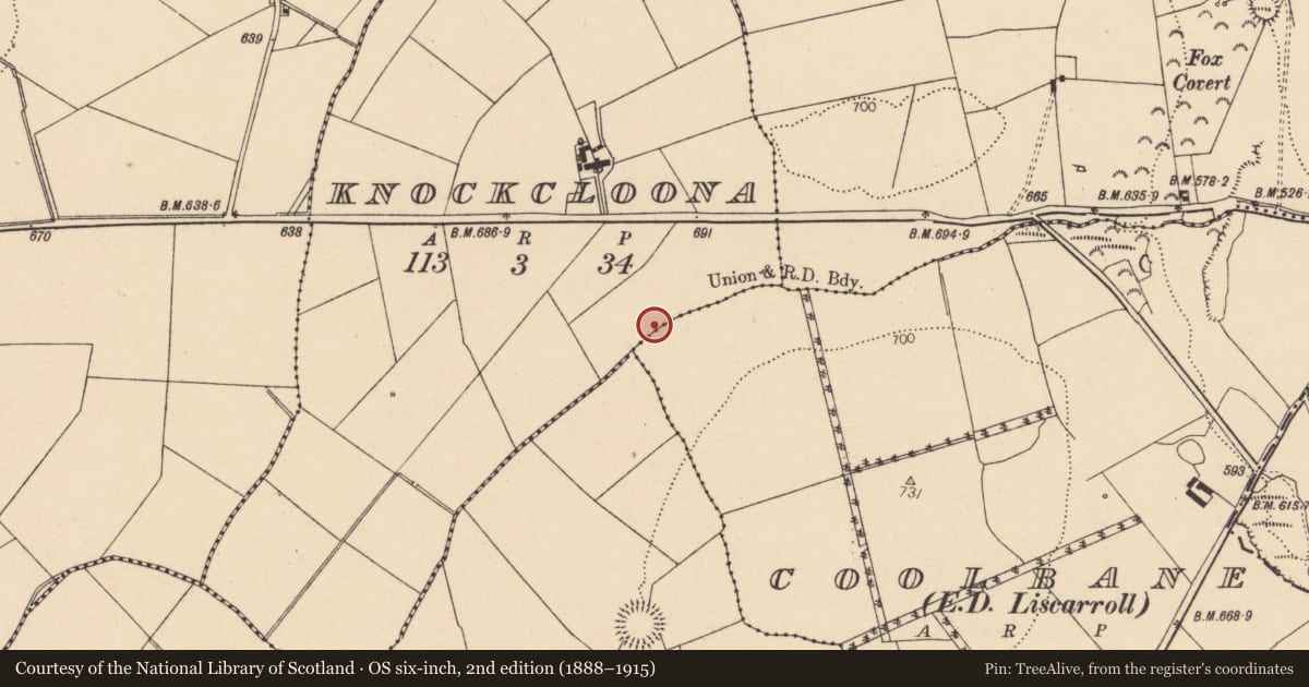 Ordnance Survey six-inch map, 2nd edition (1888–1915) covering the location of Fulacht fia, Knockcloona, County Cork, with a pin at the register's coordinates