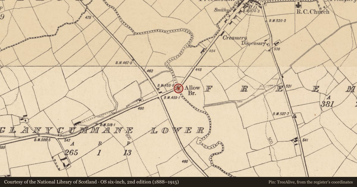 Ordnance Survey six-inch map, 2nd edition (1888–1915) covering the location of Bridge, Freemount, Glanycummane Lower, County Cork, with a pin at the register's coordinates