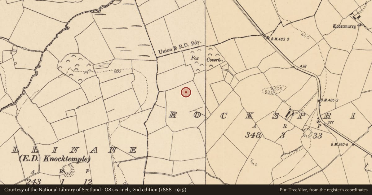 Ordnance Survey six-inch map, 2nd edition (1888–1915) covering the location of Ringfort - rath, Rockspring, County Cork, with a pin at the register's coordinates
