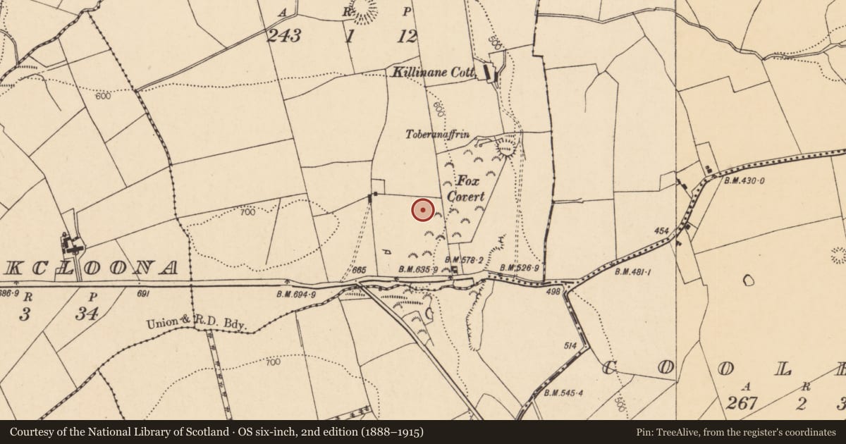 Ordnance Survey six-inch map, 2nd edition (1888–1915) covering the location of Burial ground, Killinane (Duhallow By., Knocktemple Par.), County Cork, with a pin at the register's coordinates