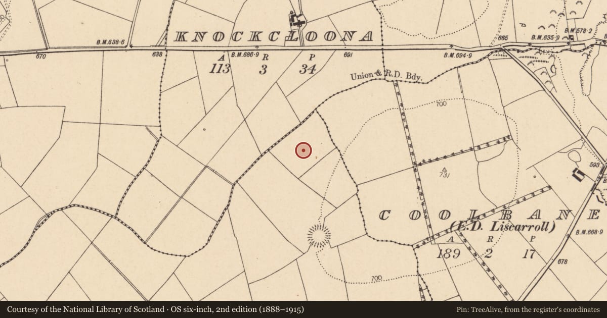 Ordnance Survey six-inch map, 2nd edition (1888–1915) covering the location of Fulacht fia, Knockagolig, County Cork, with a pin at the register's coordinates