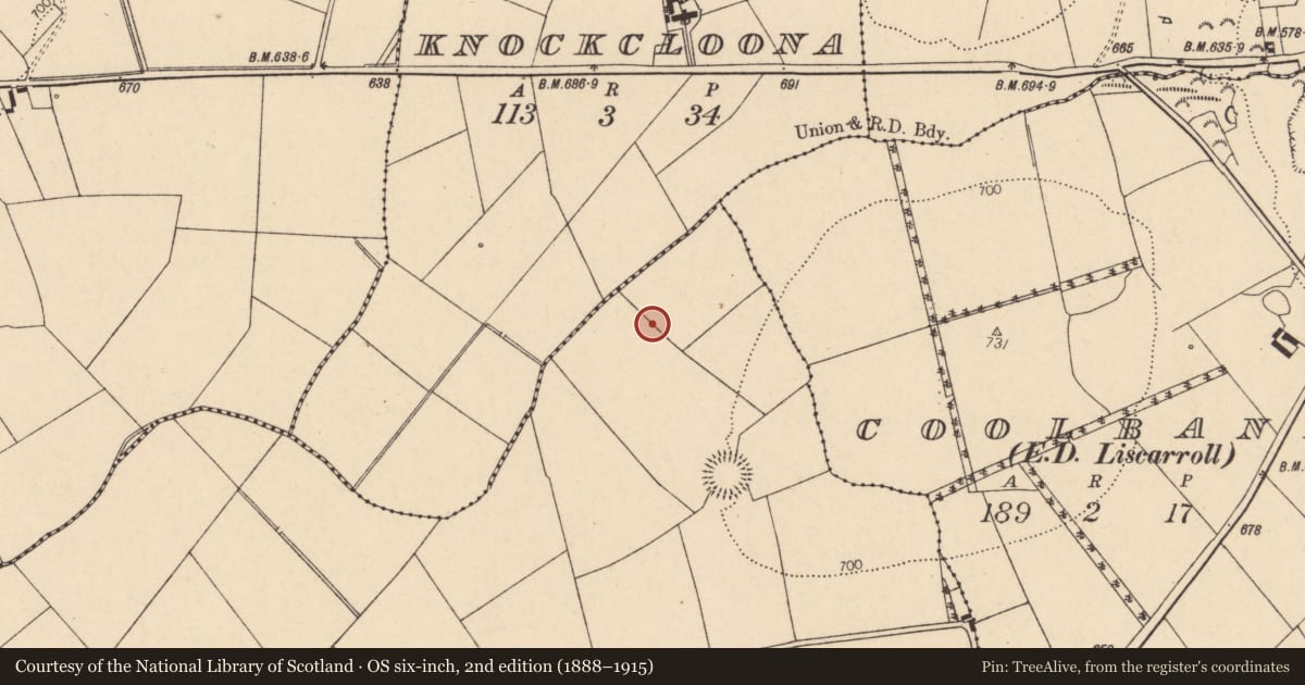 Ordnance Survey six-inch map, 2nd edition (1888–1915) covering the location of Fulacht fia, Knockagolig, County Cork, with a pin at the register's coordinates