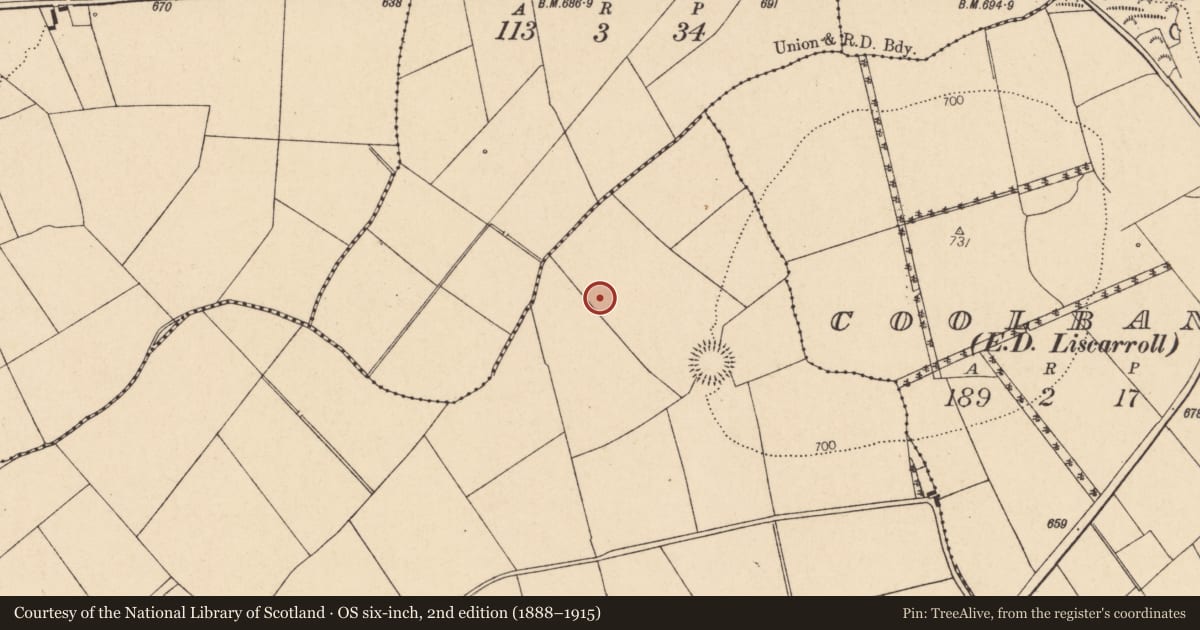 Ordnance Survey six-inch map, 2nd edition (1888–1915) covering the location of Fulacht fia, Knockagolig, County Cork, with a pin at the register's coordinates