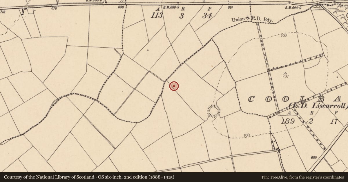 Ordnance Survey six-inch map, 2nd edition (1888–1915) covering the location of Fulacht fia, Knockagolig, County Cork, with a pin at the register's coordinates