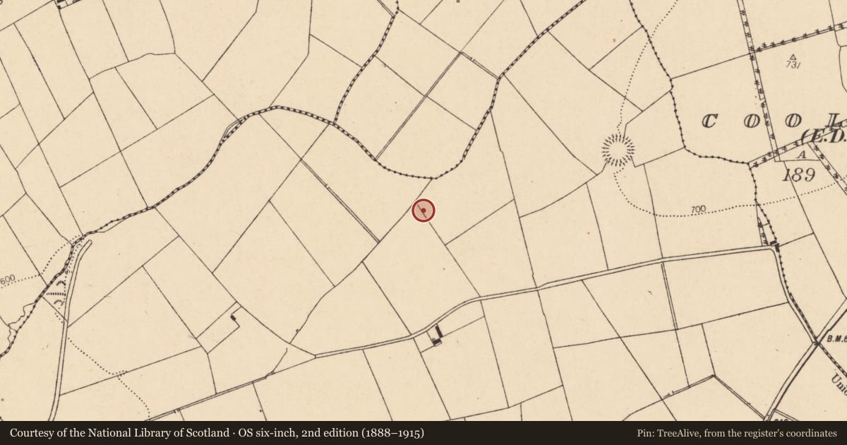 Ordnance Survey six-inch map, 2nd edition (1888–1915) covering the location of Fulacht fia, Knockagolig, County Cork, with a pin at the register's coordinates
