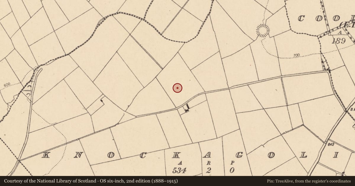 Ordnance Survey six-inch map, 2nd edition (1888–1915) covering the location of Fulacht fia, Knockagolig, County Cork, with a pin at the register's coordinates