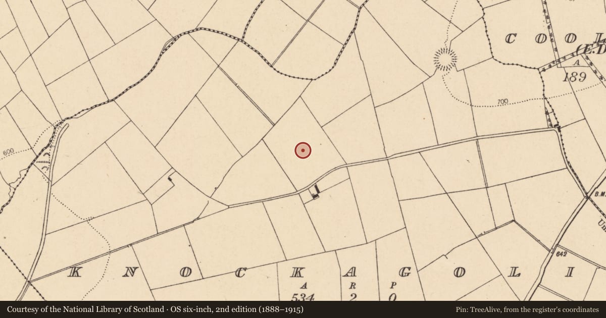 Ordnance Survey six-inch map, 2nd edition (1888–1915) covering the location of Fulacht fia, Knockagolig, County Cork, with a pin at the register's coordinates