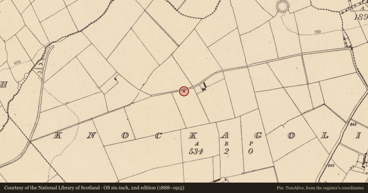 Ordnance Survey six-inch map, 2nd edition (1888–1915) covering the location of Fulacht fia, Knockagolig, County Cork, with a pin at the register's coordinates