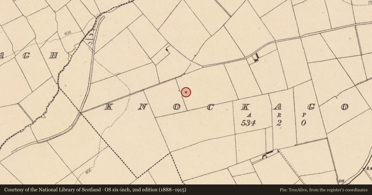 Ordnance Survey six-inch map, 2nd edition (1888–1915) covering the location of Fulacht fia, Knockagolig, County Cork, with a pin at the register's coordinates