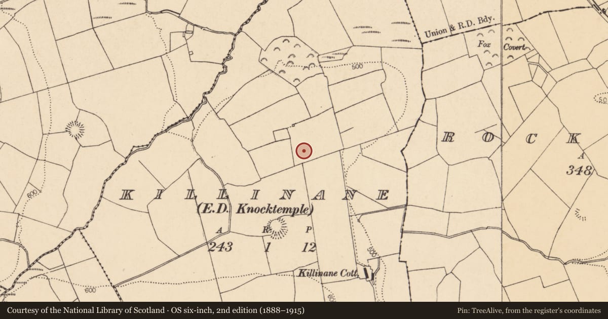 Ordnance Survey six-inch map, 2nd edition (1888–1915) covering the location of Fulacht fia, Killinane (Duhallow By., Knocktemple Par.), County Cork, with a pin at the register's coordinates