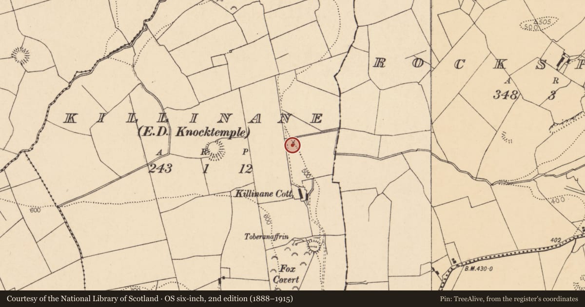Ordnance Survey six-inch map, 2nd edition (1888–1915) covering the location of Fulacht fia, Killinane (Duhallow By., Knocktemple Par.), County Cork, with a pin at the register's coordinates