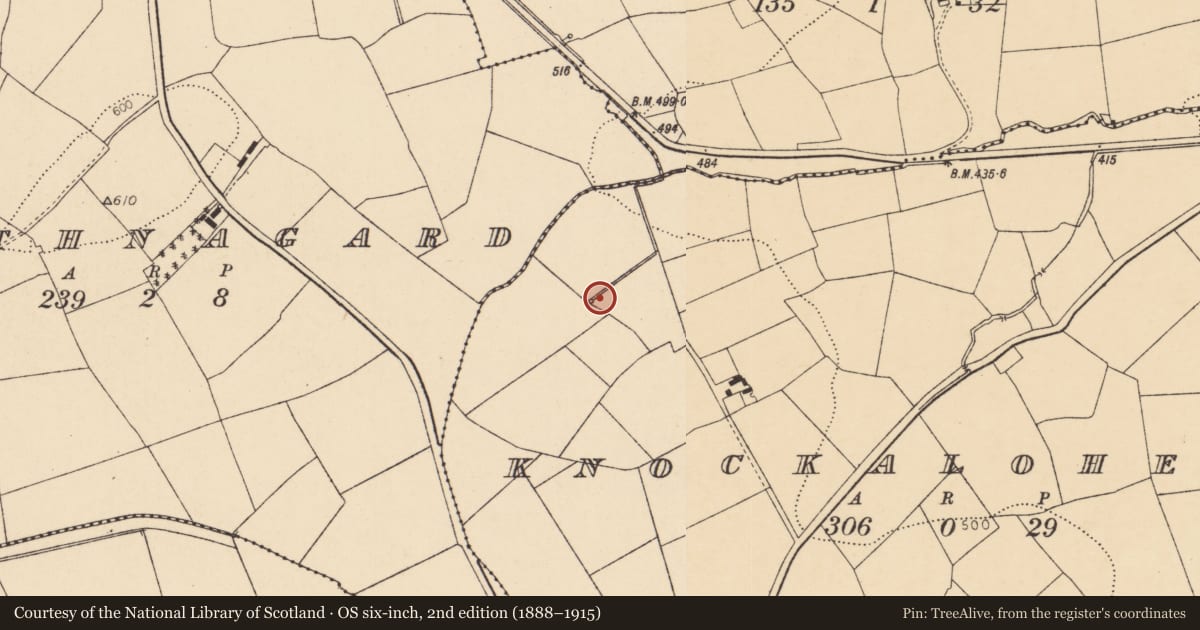 Ordnance Survey six-inch map, 2nd edition (1888–1915) covering the location of Burnt mound, Knockalohert, County Cork, with a pin at the register's coordinates