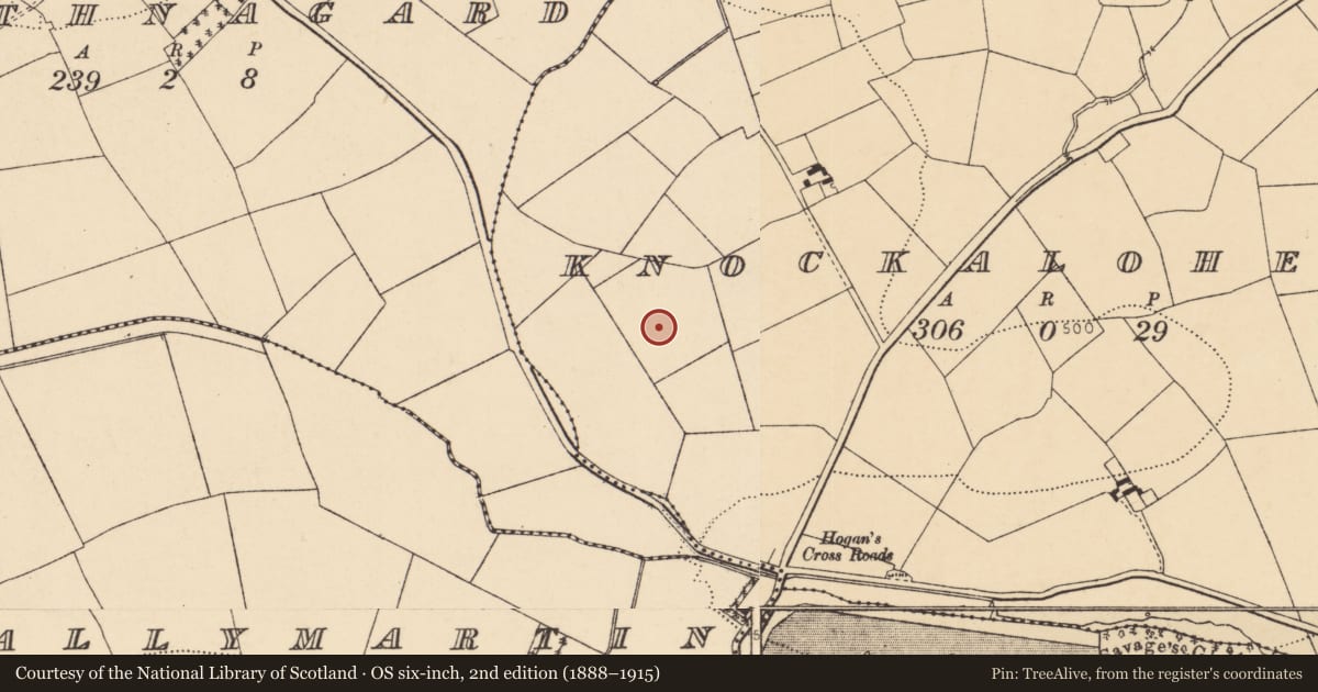 Ordnance Survey six-inch map, 2nd edition (1888–1915) covering the location of Burnt mound, Knockalohert, County Cork, with a pin at the register's coordinates