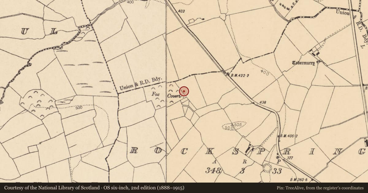 Ordnance Survey six-inch map, 2nd edition (1888–1915) covering the location of Fulacht fia, Rockspring, County Cork, with a pin at the register's coordinates