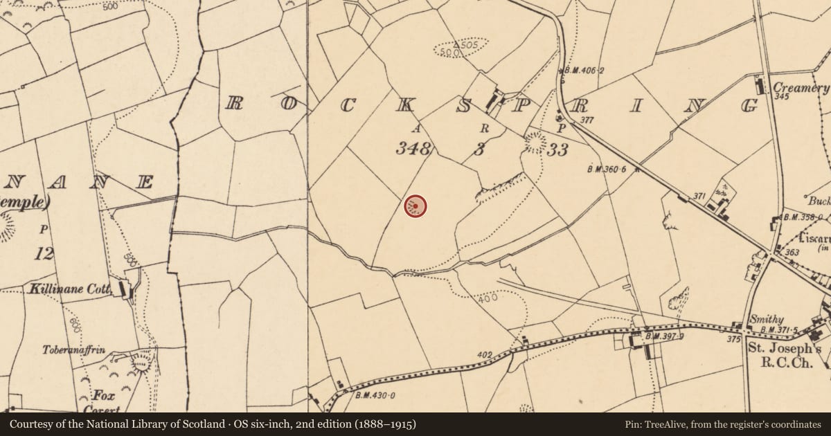 Ordnance Survey six-inch map, 2nd edition (1888–1915) covering the location of Ringfort - rath, Rockspring, County Cork, with a pin at the register's coordinates