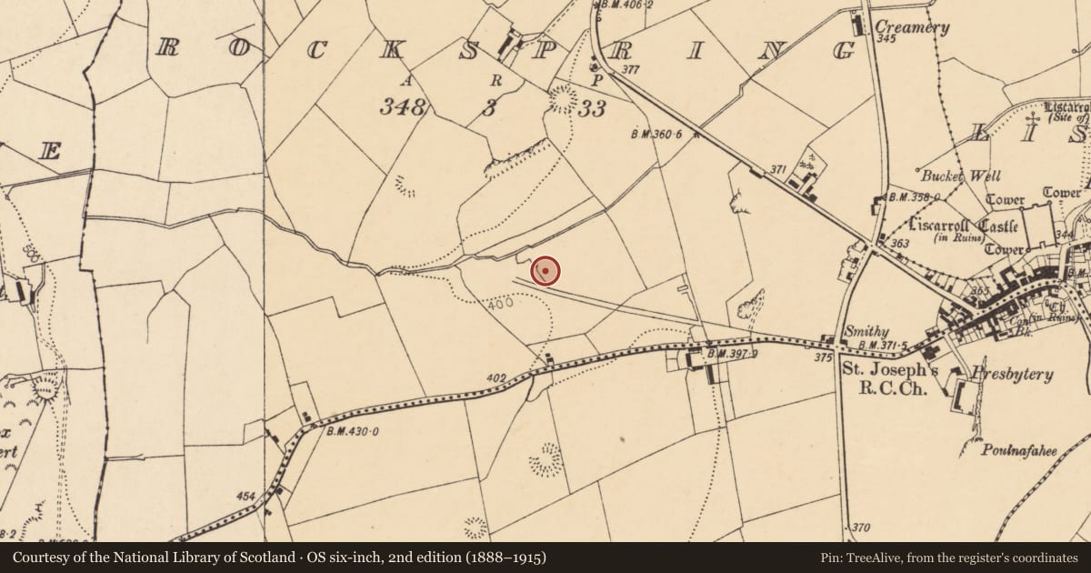Ordnance Survey six-inch map, 2nd edition (1888–1915) covering the location of Ringfort - rath, Rockspring, County Cork, with a pin at the register's coordinates