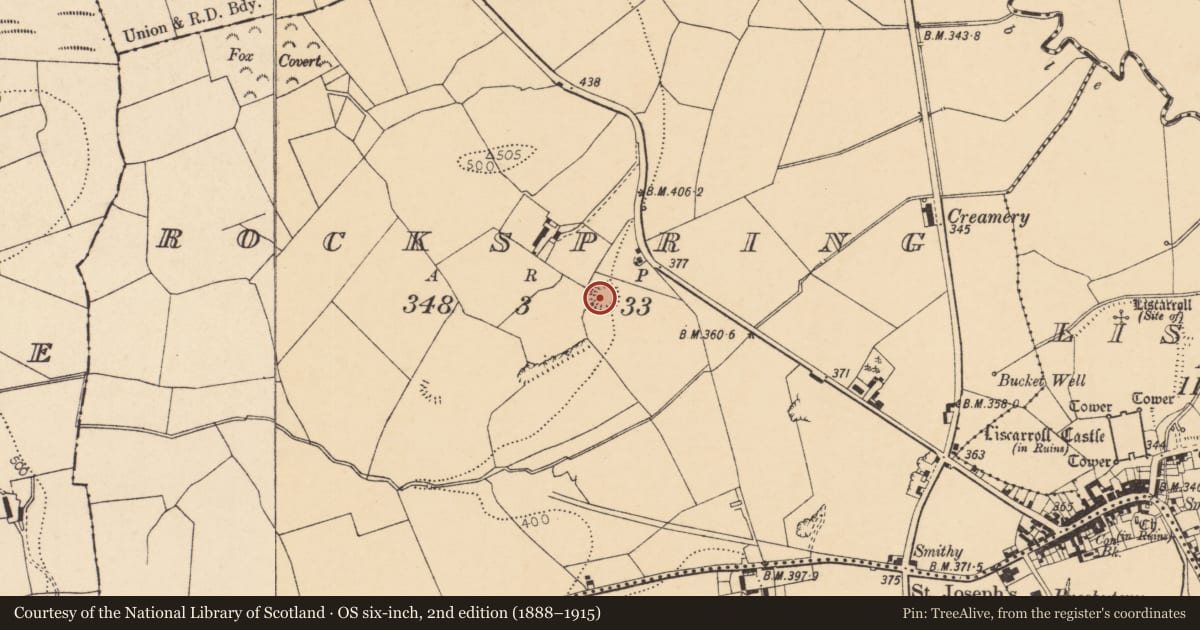 Ordnance Survey six-inch map, 2nd edition (1888–1915) covering the location of Ringfort - rath, Rockspring, County Cork, with a pin at the register's coordinates