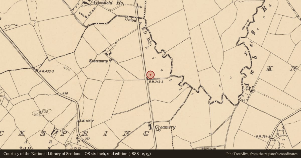Ordnance Survey six-inch map, 2nd edition (1888–1915) covering the location of Enclosure, Rockspring, County Cork, with a pin at the register's coordinates