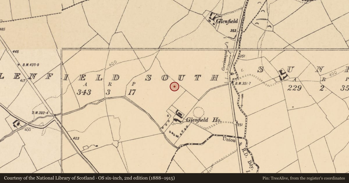 Ordnance Survey six-inch map, 2nd edition (1888–1915) covering the location of Standing stone, Glenfield South, County Cork, with a pin at the register's coordinates