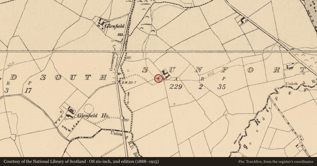 Ordnance Survey six-inch map, 2nd edition (1888–1915) covering the location of Moated site, Sunfort, County Cork, with a pin at the register's coordinates
