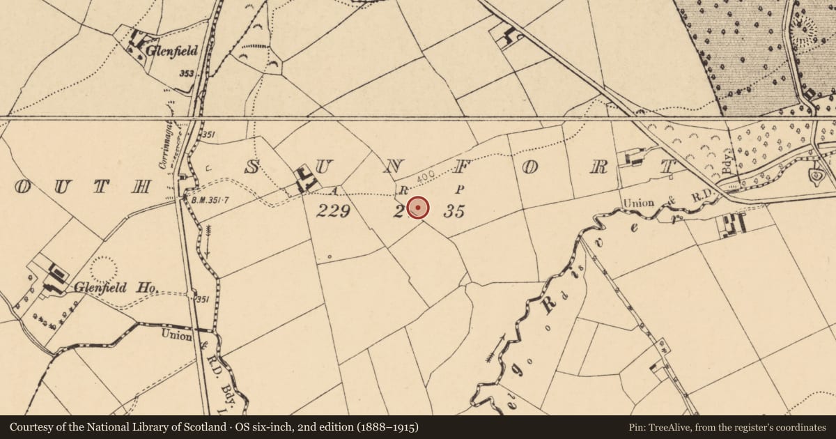 Ordnance Survey six-inch map, 2nd edition (1888–1915) covering the location of Ringfort - rath, Sunfort, County Cork, with a pin at the register's coordinates